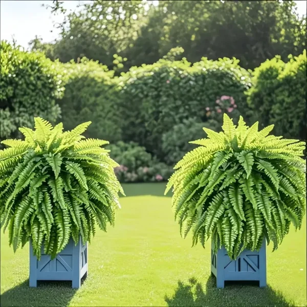 Elegant Boston Fern Plants - 2 pcs of high-end artificial plants for indoor and outdoor